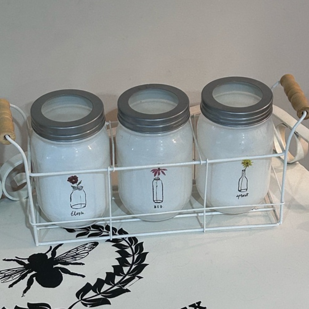 Rae Dunn frosted mason jar vases planters wire caddy bloom sprout bud flowers